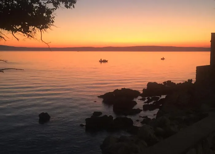 Mimoza2 아파트 노비비노돌스키